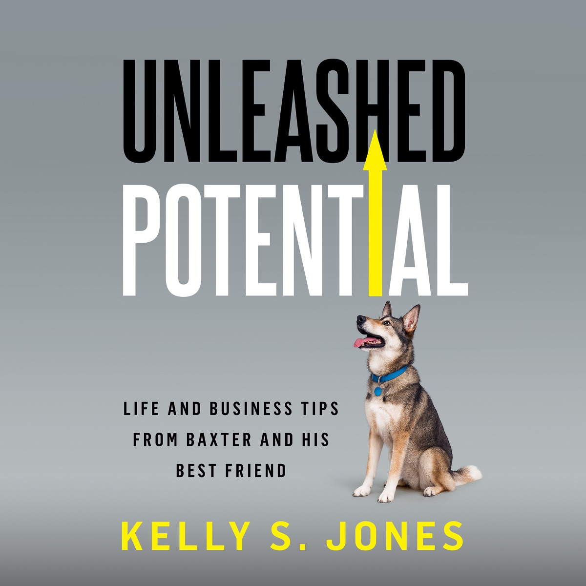 Unleashed Potential: Life and Business Tips from Baxter and His Best Friend by Kelly S. Jones